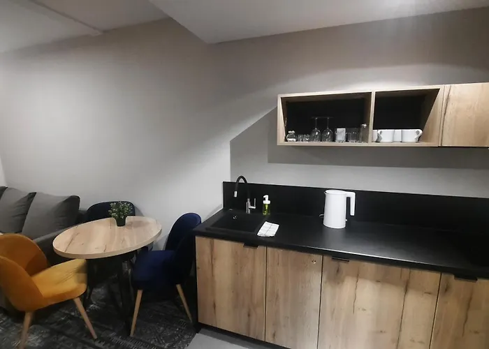 Zloty Horyzont Apartment *